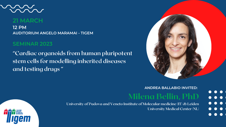 Milena Bellin, PhD - "Cardiac organoids from human pluripotent stem cells for modelling inherited diseases and testing drugs "