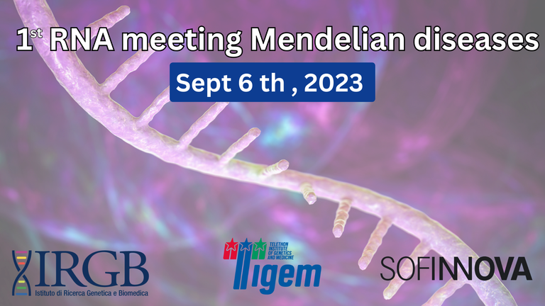 1st RNA meeting Mendelian diseases 1st RNA meeting Mendelian diseases