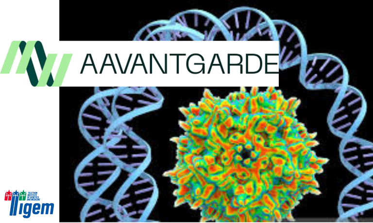 TIGEM's Startup, AAVantgarde Bio, Emerges as Gene Therapy Pioneer
