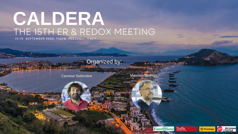 Caldera 2022 - The 15th ER and redox Meeting