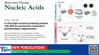 Toward Common Solutions for Rare Retinal Diseases: Commenting on miRNA-Based Therapeutic Strategies for IRDs