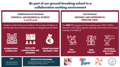 SSM Calls for the Ordinary  and Doctorate Courses