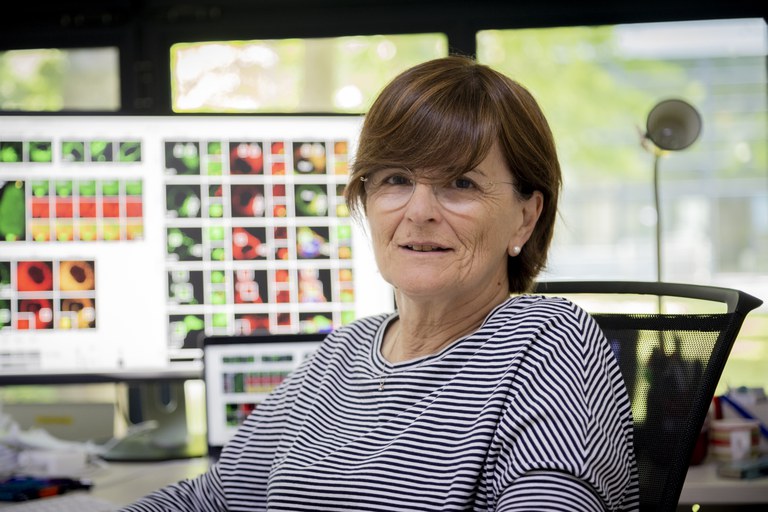 "It started with a western": Antonella De Matteis on Nature Cell Biology "Turning Points"