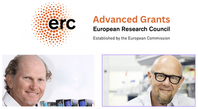 EUROPEAN RESEARCH COUNCIL (ERC): ASSIGNED TO ANDREA BALLABIO AND ALBERTO AURICCHIO TWO ADVANCED GRANTS FOR A TOTAL OF 5 MILLION EUROS