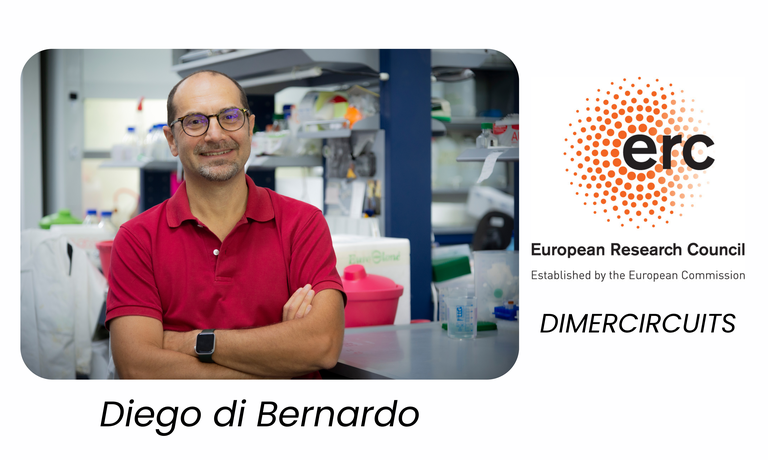 From Systems Biology to Smarter Gene Therapies: €2.5M ERC Grant Awarded to Diego Di Bernardo at TIGEM