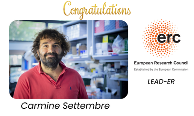 ERC Proof of Concept at TIGEM: Carmine Settembre Leads LEAD-ER to “Clean” Cells of Toxic Proteins