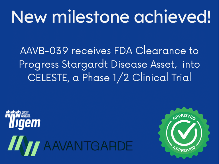 From Basic Research to the Clinic: How TIGEM and Fondazione Telethon Are Revolutionizing Gene Therapy for Large Genes