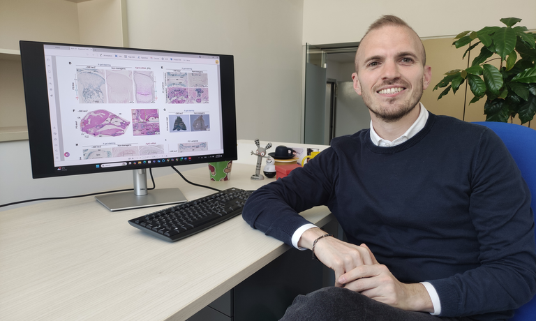From the US to TIGEM: Marco Angelozzi’s Journey in Skeletal Biology
