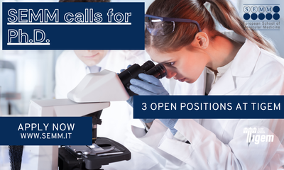 SEMM Spring Calls for PhD Programs