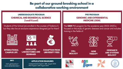SSM Calls for the Undergraduate  and PhD Programs