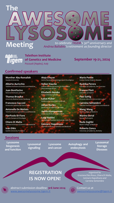 The Awesome Lysosome Meeting