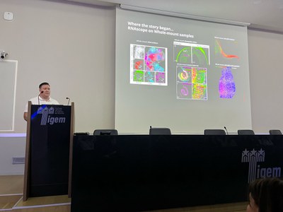 Exploring RNAscope in Organoids: A Groundbreaking Workshop at TIGEM