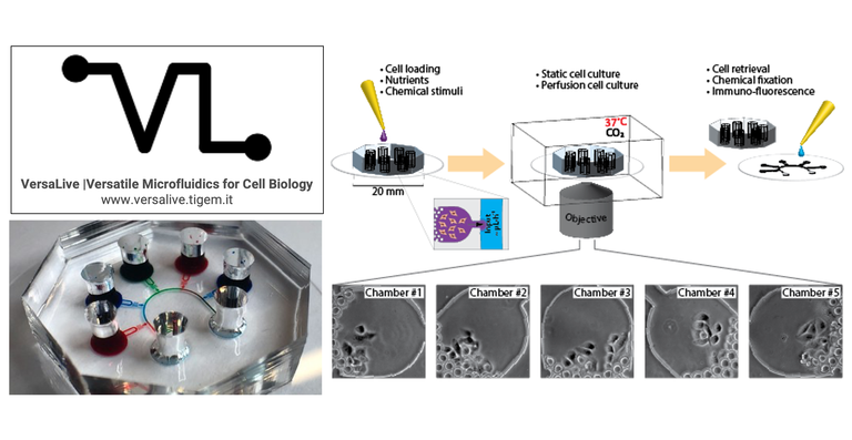 VersaLive: a new platform for versatile applications in microfluidic mammalian cell culture