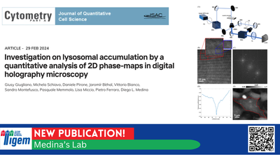Investigation on lysosomal accumulation by a quantitative analysis of 2D phase-maps in digital holography microscopy