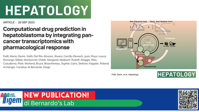 Computational drug prediction in hepatoblastoma by integrating pan-cancer transcriptomics with pharmacological response
