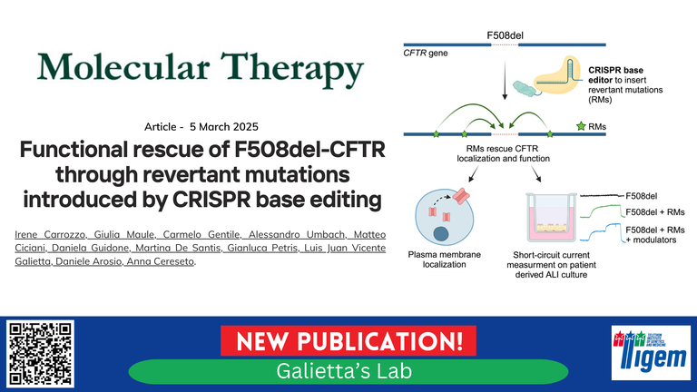 Functional rescue of F508del-CFTR through revertant mutations introduced by CRISPR base editing