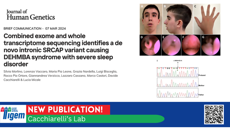 Combined exome and whole transcriptome sequencing identifies a de novo intronic SRCAP variant causing DEHMBA syndrome with severe sleep disorder