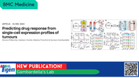 Predicting drug response from single-cell expression profiles of tumours