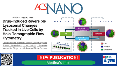 Drug-Induced Reversible Lysosomal Changes Tracked in Live Cells by Holo-Tomographic Flow Cytometry