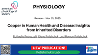 Copper in Human Health and Disease: Insights from Inherited Disorders