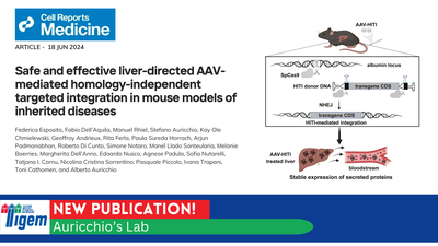 Liver gene transfer for metabolite detoxification in inherited metabolic diseases