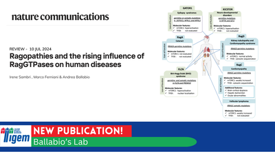Ragopathies and the rising influence of RagGTPases on human diseases