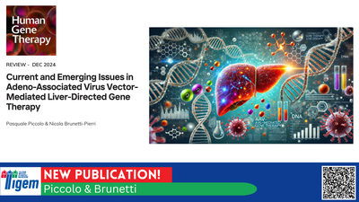 Current and Emerging Issues in Adeno-Associated Virus Vector-Mediated Liver-Directed Gene Therapy
