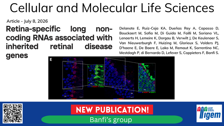 Retina-specific long non-coding RNAs associated with inherited retinal disease genes