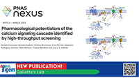 Pharmacological potentiators of the calcium signaling cascade identified by high-throughput screening