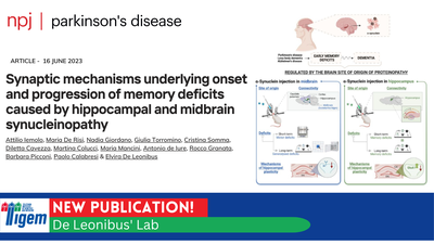 Synaptic mechanisms underlying onset and progression of memory deficits caused by hippocampal and midbrain synucleinopathy