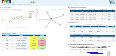 TFEBexplorer: An integrated tool to study genes regulated by the stress-responsive Transcription Factor EB