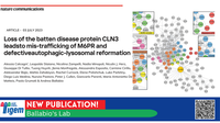 Loss of the batten disease protein CLN3 leadsto mis-trafficking of M6PR and defective autophagic-lysosomal reformation