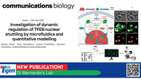 Investigation of dynamic regulation of TFEB nuclear shuttling by microfluidics and quantitative modelling