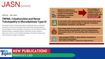 TRPML-1 Dysfunction and Renal Tubulopathy in Mucolipidosis Type IV