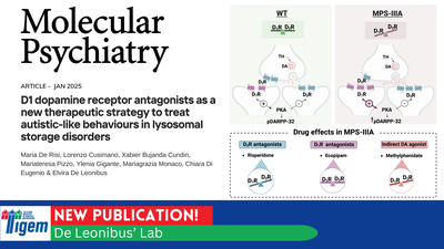 D1 dopamine receptor antagonists as a new therapeutic strategy to treat autistic-like behaviours in lysosomal storage disorders