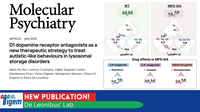 D1 dopamine receptor antagonists as a new therapeutic strategy to treat autistic-like behaviours in lysosomal storage disorders