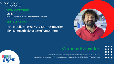 Carmine Settembre - "From bulk to selective: a journey into the physiological relevance of Autophagy"