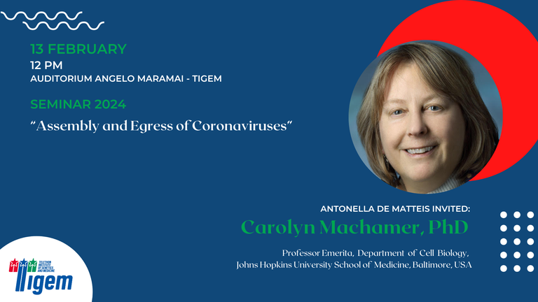 Carolyn Machamer,  PhD - "Assembly and Egress of Coronaviruses”
