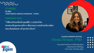 Elena Ziviani, PhD - "Mitochondrial quality control in neurodegenerative diseases and molecular mechanisms of protection"