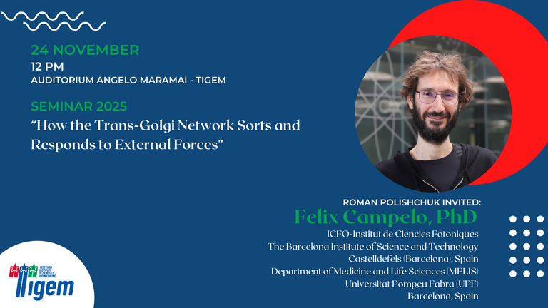 Felix Campelo, PhD - "How the Trans-Golgi Network Sorts and Responds to External Forces"