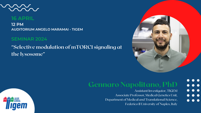 Gennaro Napolitano, PhD - "Selective modulation of mTORC1 signaling at the lysosome"