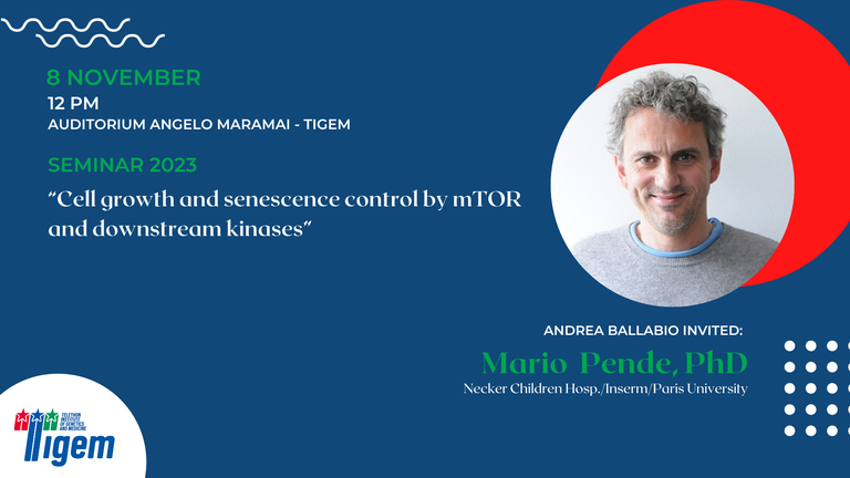 Mario Pende, PhD - "Cell growth and senescence control by mTOR and downstream kinases"