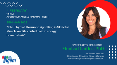 Monica Dentice, PhD - "The Thyroid Hormone signalling in Skeletal Muscle and its central role in energy homeostasis"