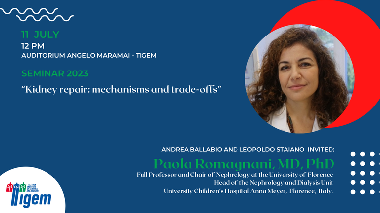 Paola Romagnani, MD, PhD - "Kidney repair: mechanisms and trade-offs"
