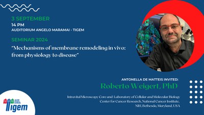 Roberto Weigert, PhD - "Mechanisms of membrane remodeling in vivo: from physiology to disease"
