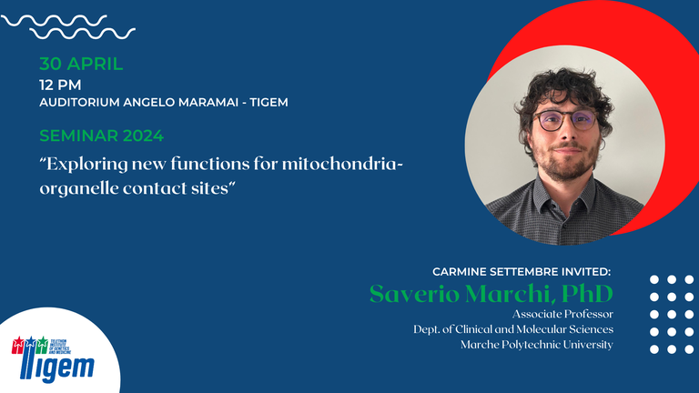 Saverio Marchi, PhD - "Exploring new functions for mitochondria-organelle contact sites"