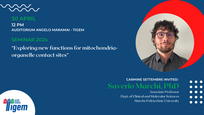 Saverio Marchi, PhD - "Exploring new functions for mitochondria-organelle contact sites"