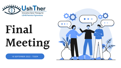 UshTher Final Meeting