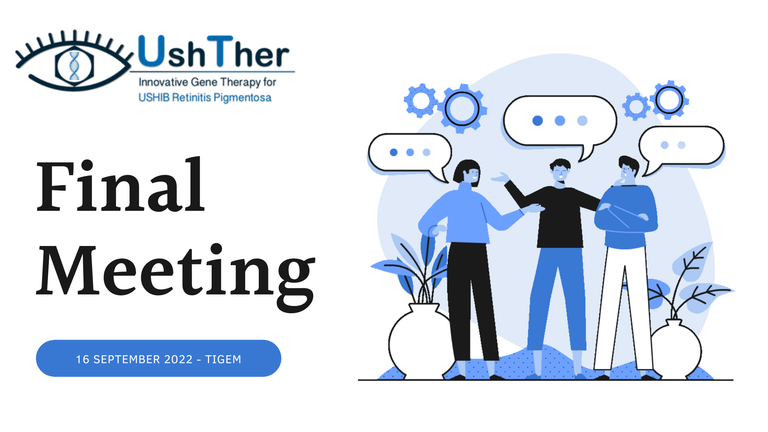 UshTher Final Meeting