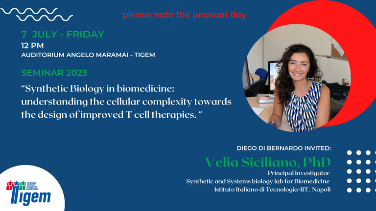 Velia Siciliano, PhD - "Synthetic Biology in biomedicine: understanding the cellular complexity towards the design of improved T cell therapies"